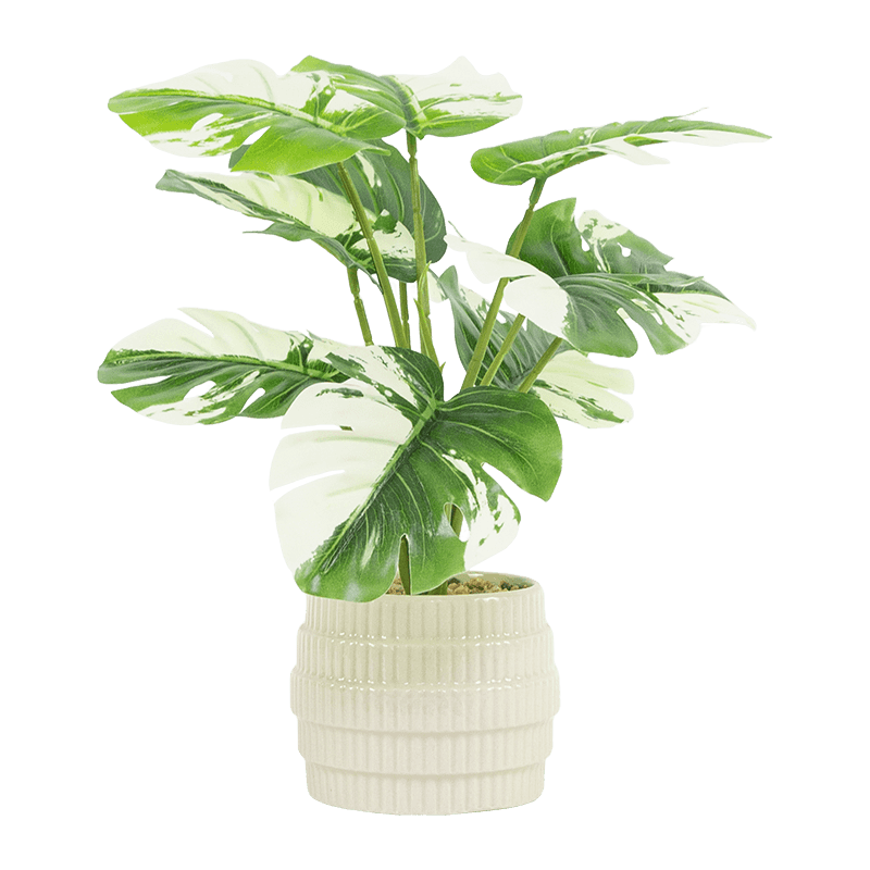 Palm Tree with 10 Leaves in Ceramic Pot