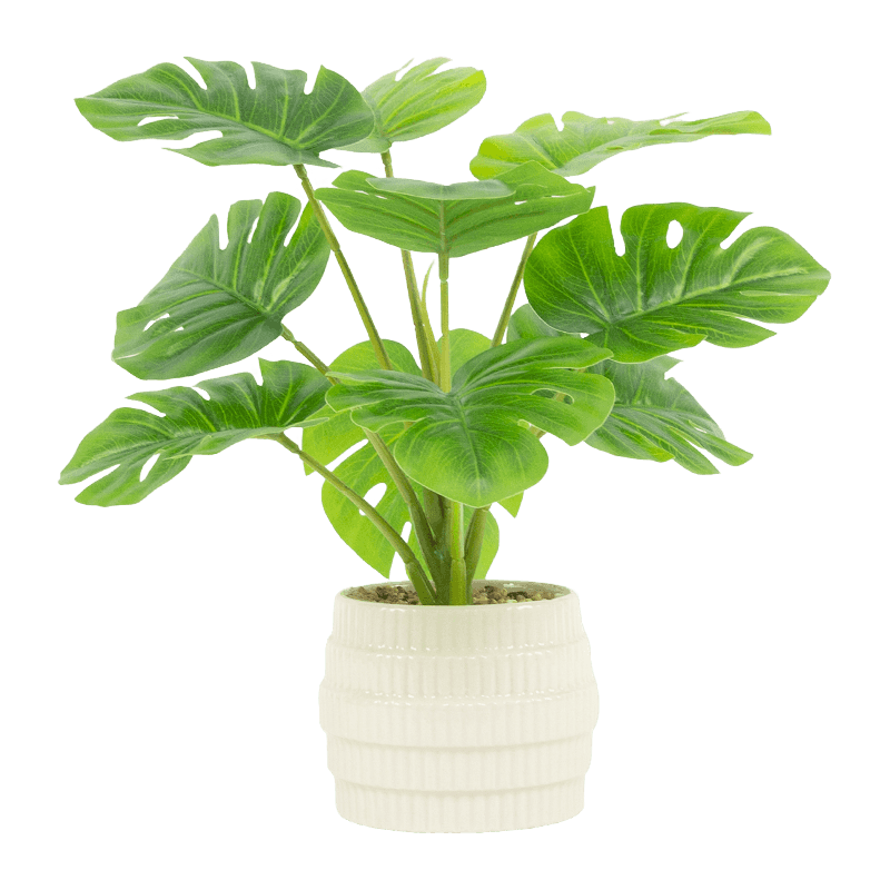 Palm Tree with 10 Leaves in Ceramic Pot