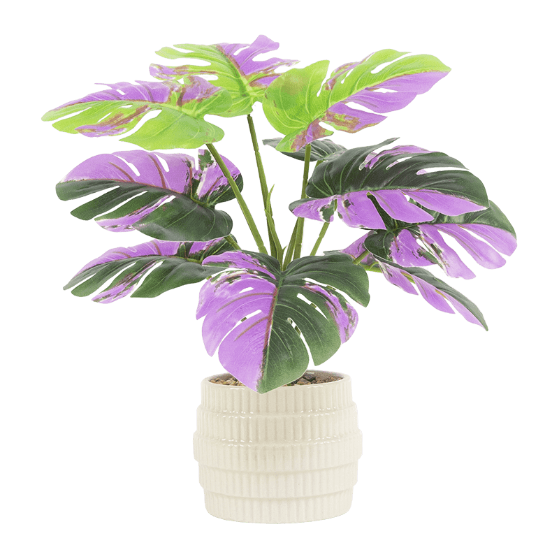 Palm Tree with 10 Leaves in Ceramic Pot