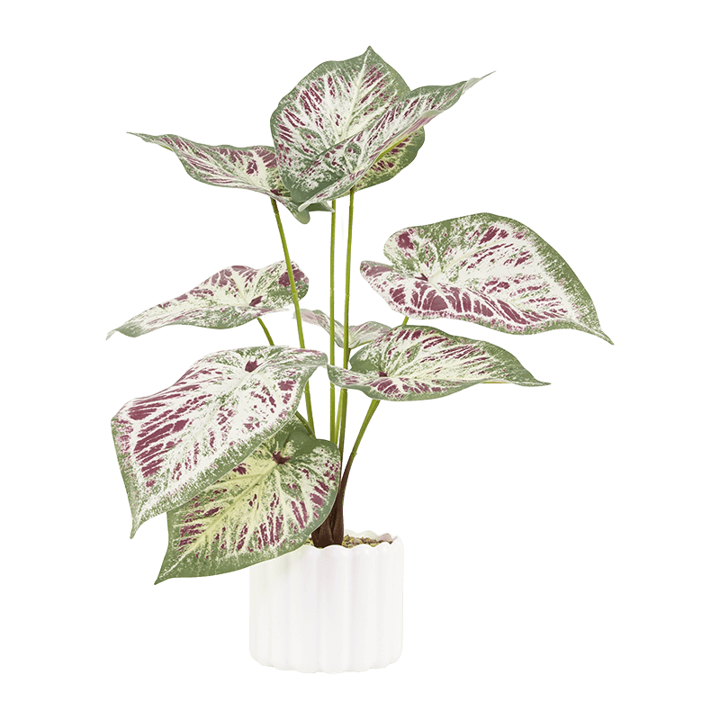 Taro wth 9 Leaves in PP PT 40cm