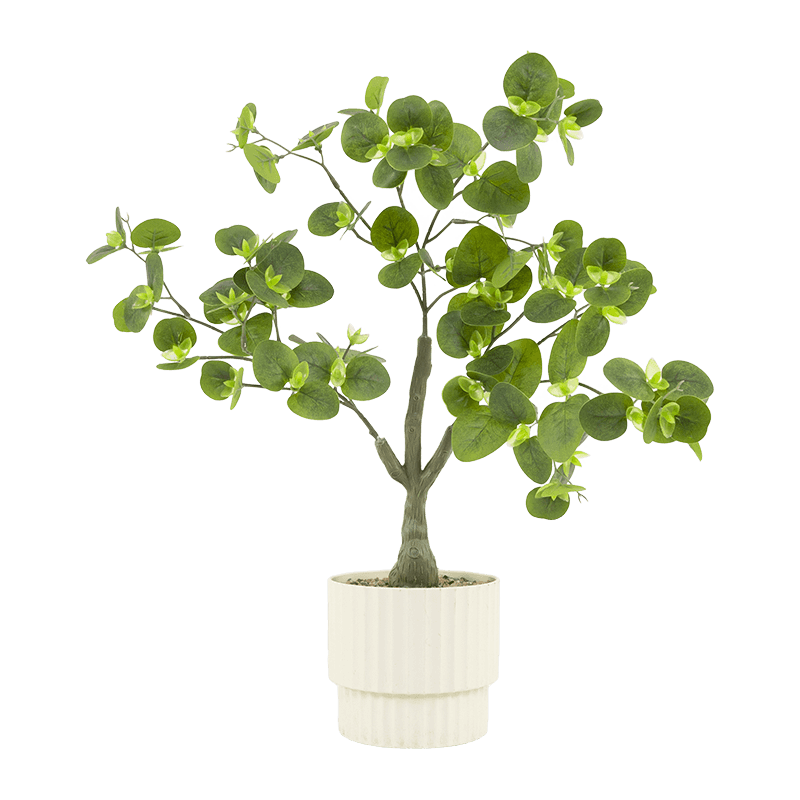 Eculyptus Plant in PP PT 46cm