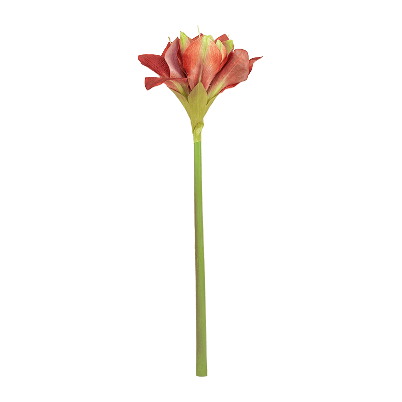 Artificial Flower Clivia Miniata Lily
