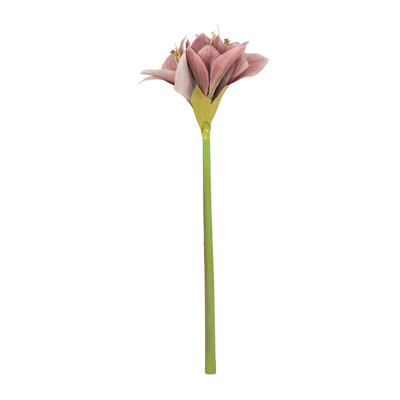 Artificial Flower Clivia Miniata Lily