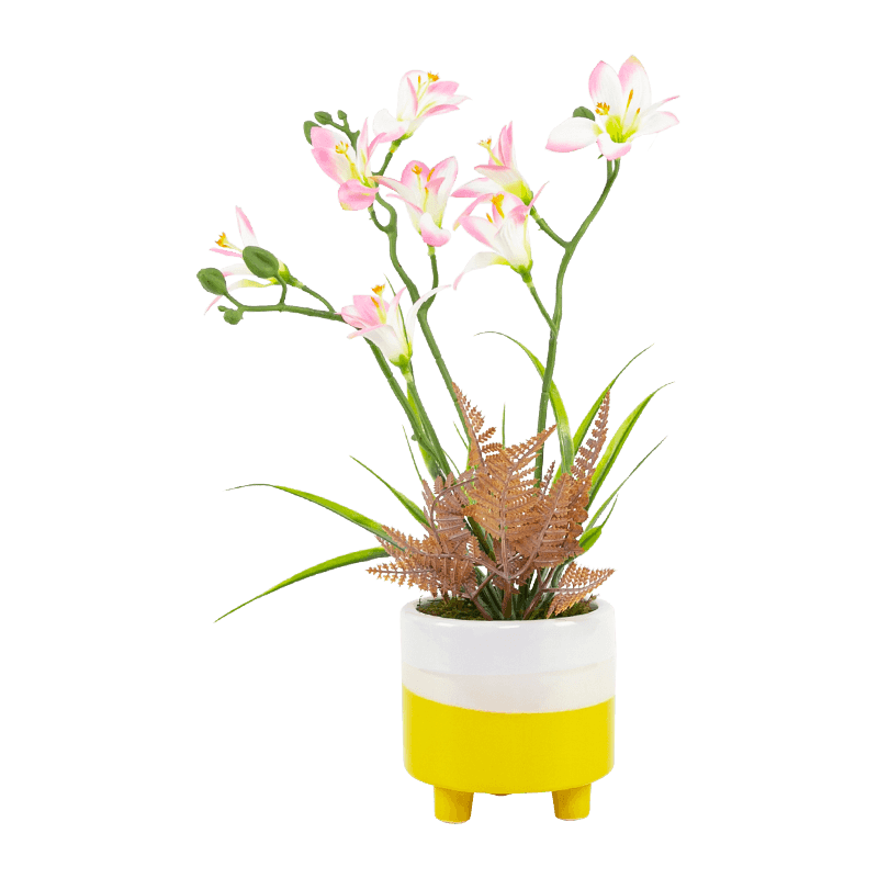 Narcissus Ceramic Pot with Three Stems Eight Flowers