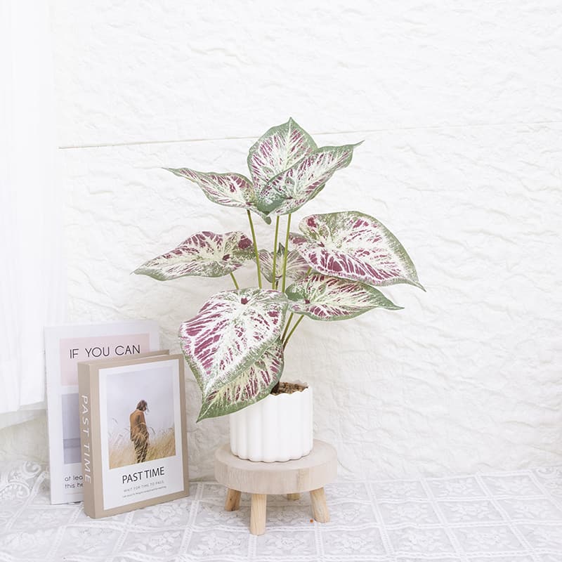 Taro wth 9 Leaves in PP PT 40cm