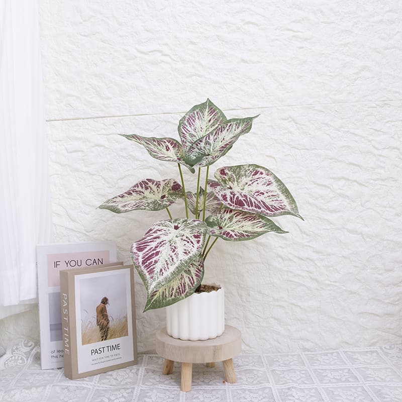 Taro wth 9 Leaves in PP PT 40cm
