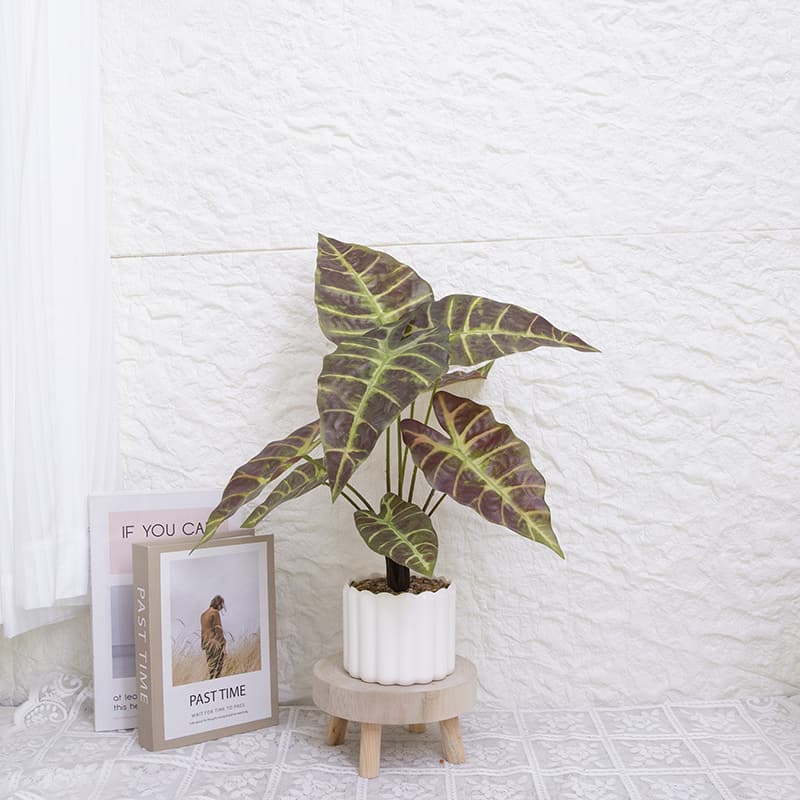 Taro wth 9 Leaves in PP PT 40cm