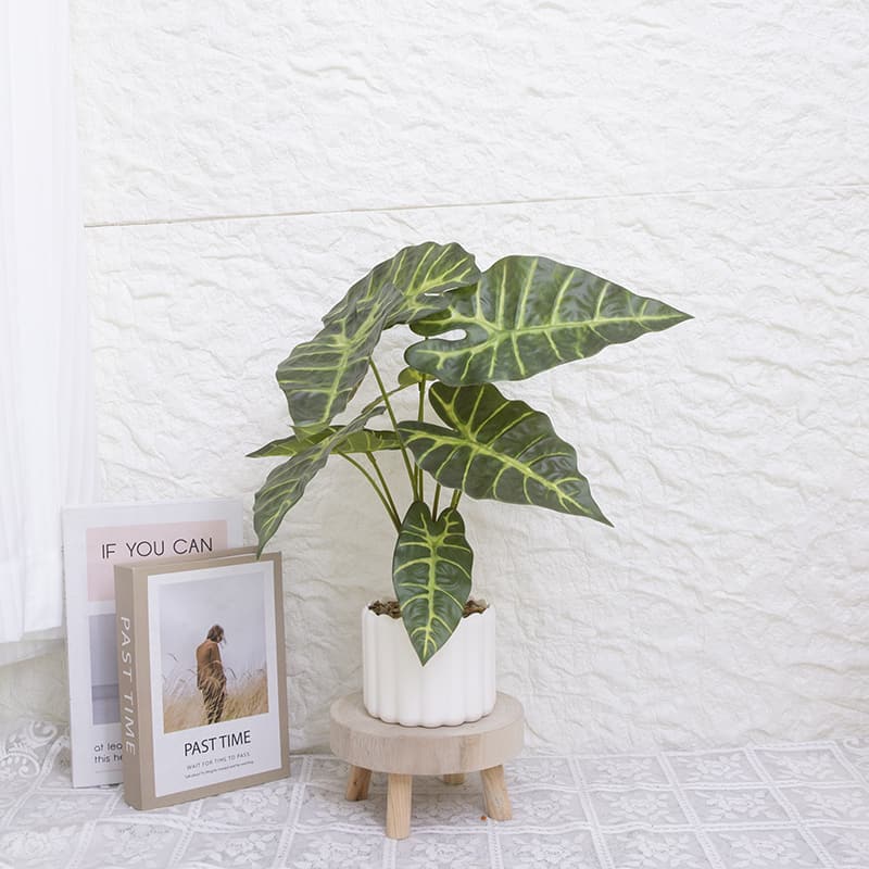 Taro wth 9 Leaves in PP PT 40cm