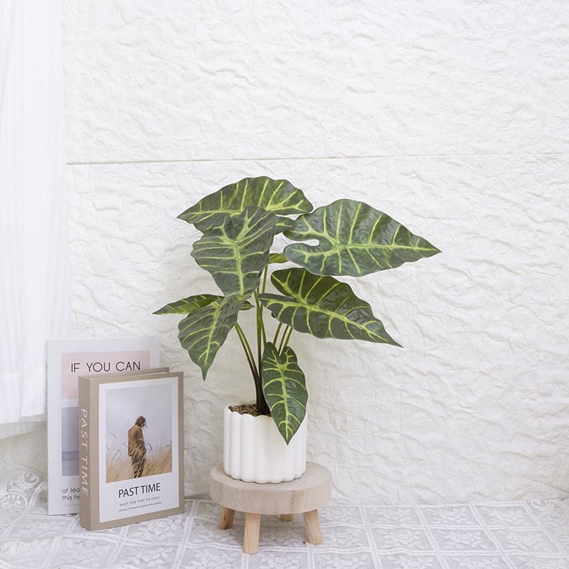 Taro wth 9 Leaves in PP PT 40cm