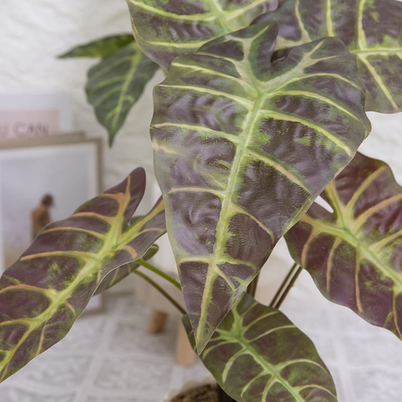 Taro wth 9 Leaves in PP PT 40cm