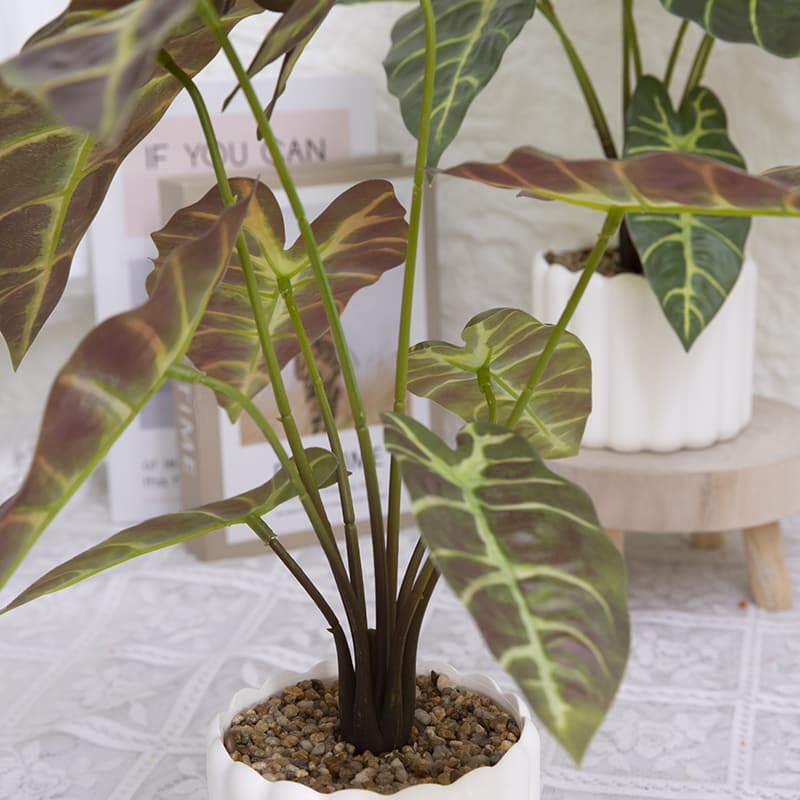 Taro wth 9 Leaves in PP PT 40cm