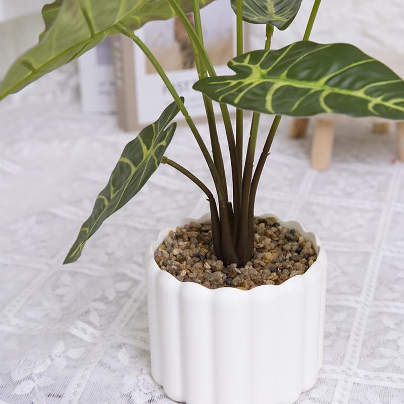 Taro wth 9 Leaves in PP PT 40cm