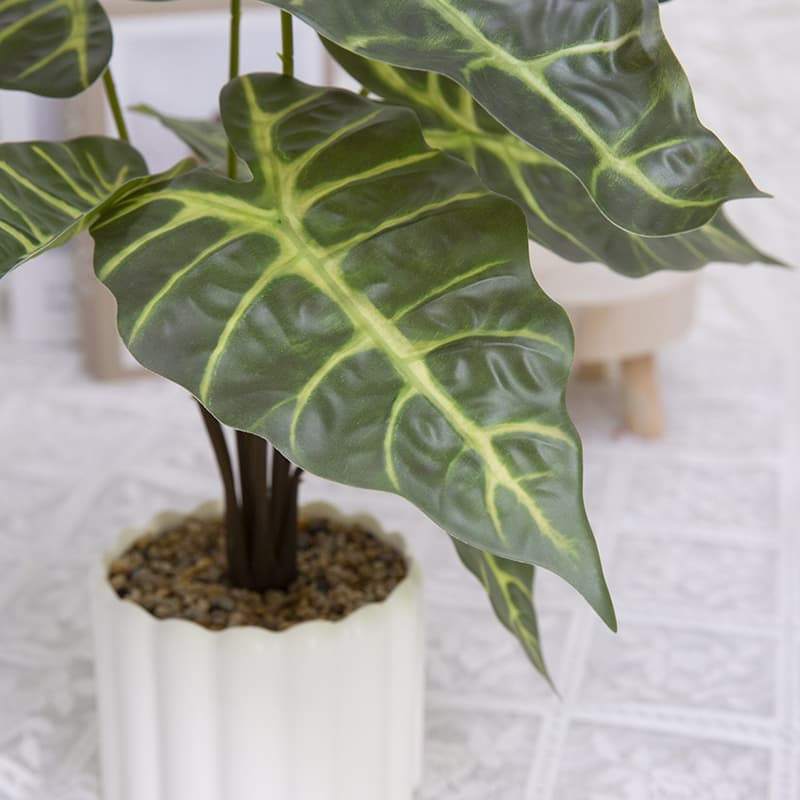 Taro wth 9 Leaves in PP PT 40cm