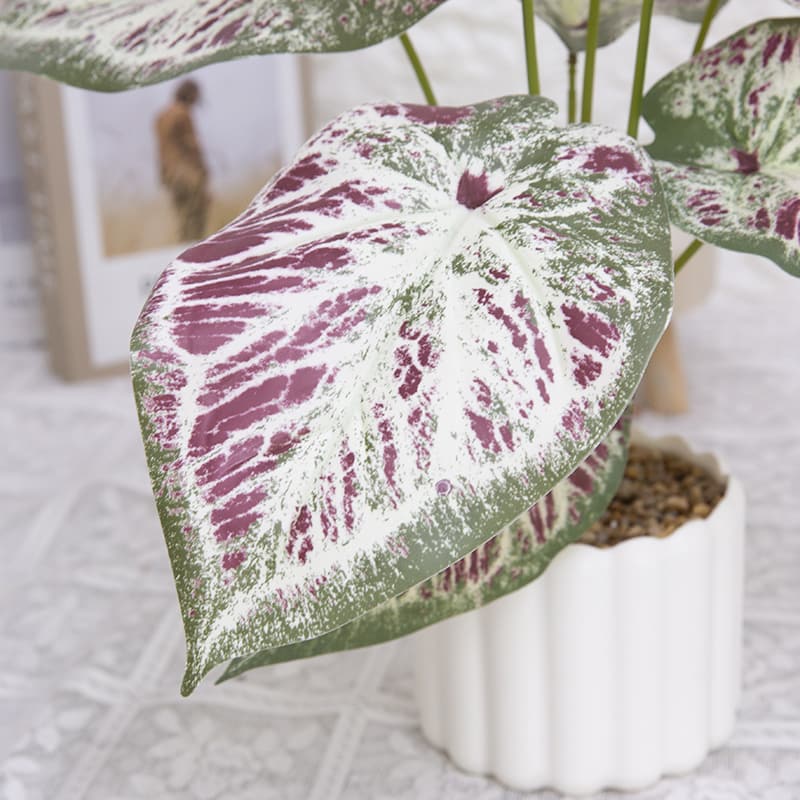 Taro wth 9 Leaves in PP PT 40cm