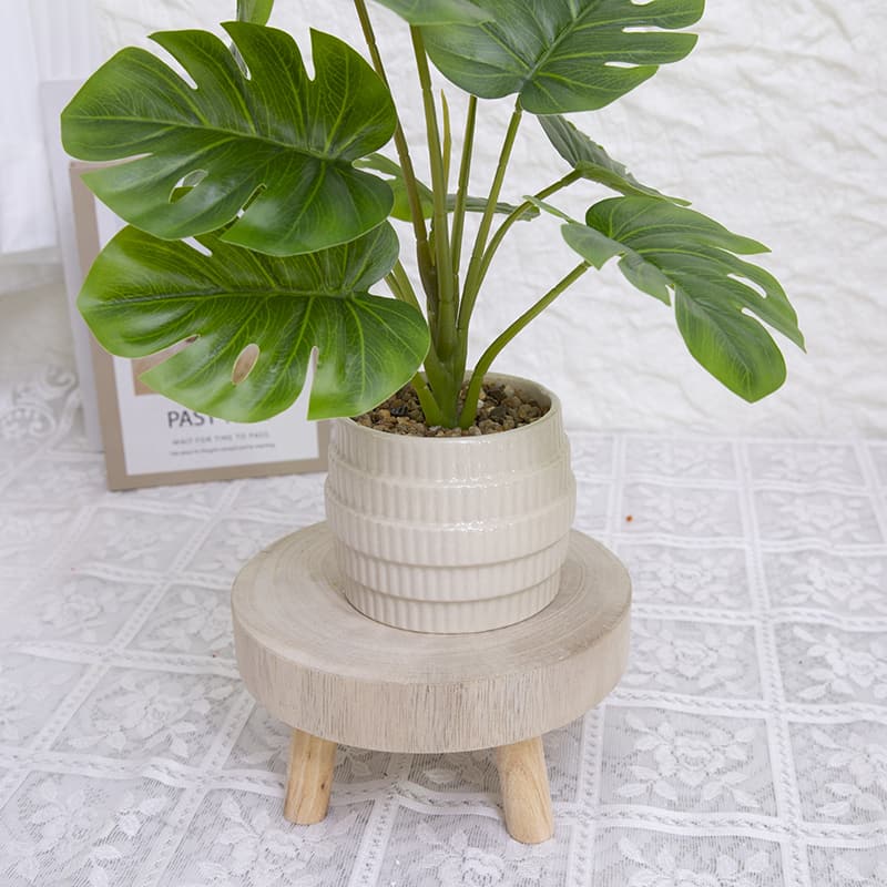 Palm Tree with 10 Leaves in Ceramic Pot