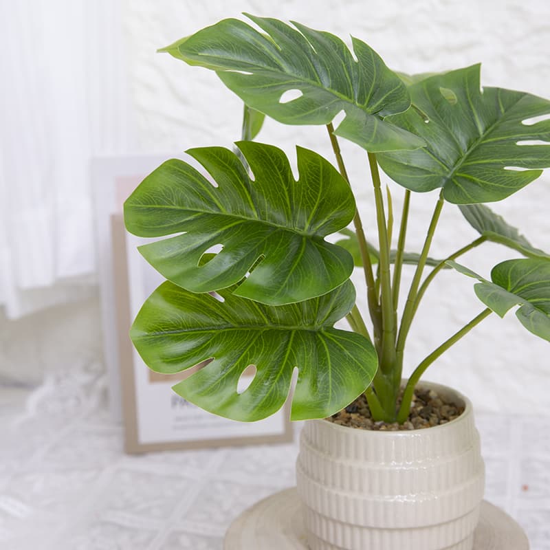 Palm Tree with 10 Leaves in Ceramic Pot