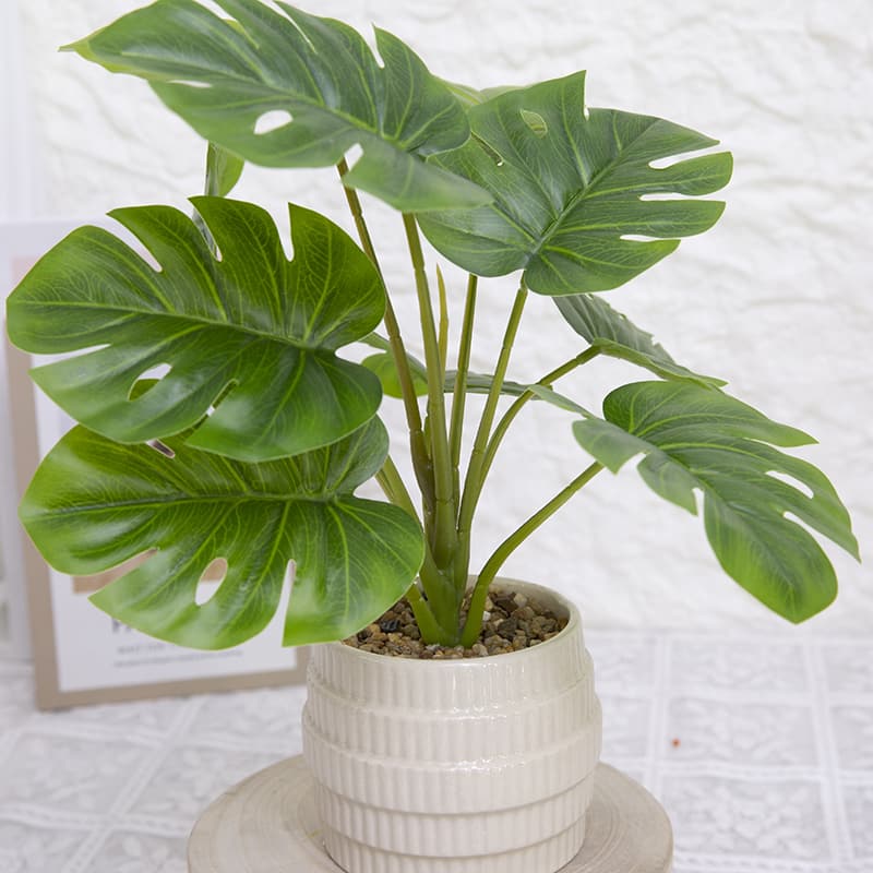 Palm Tree with 10 Leaves in Ceramic Pot