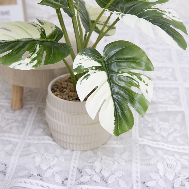 Palm Tree with 10 Leaves in Ceramic Pot