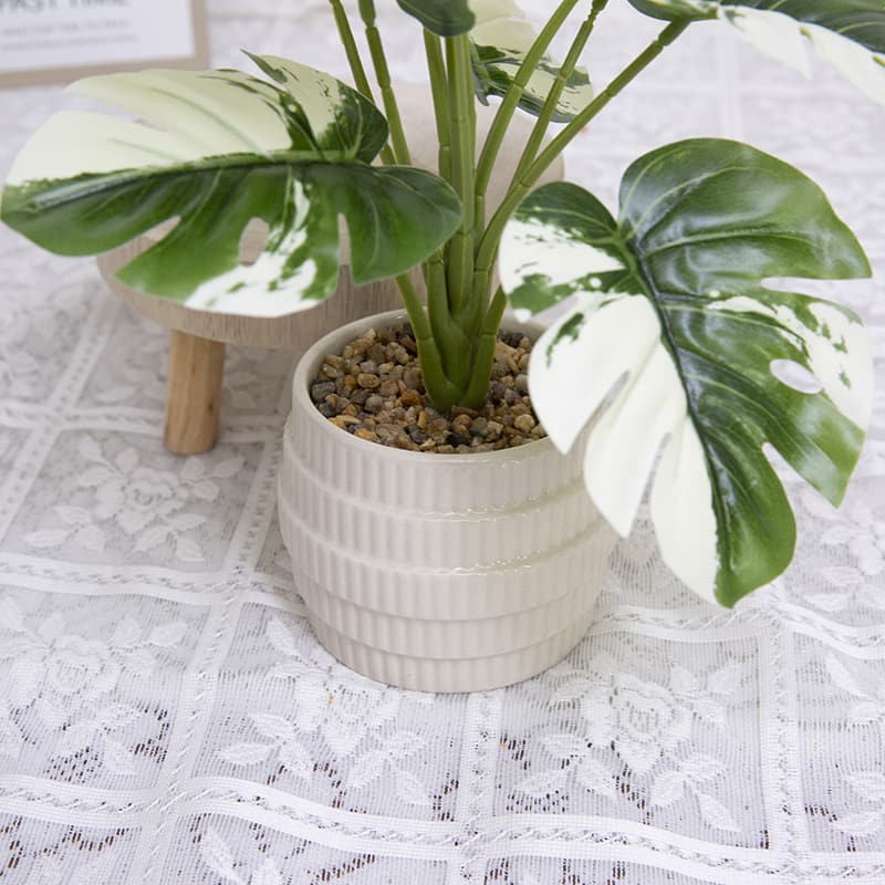 Palm Tree with 10 Leaves in Ceramic Pot