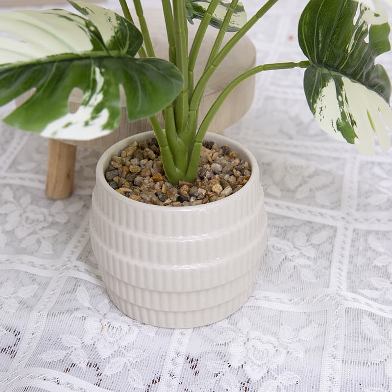 Palm Tree with 10 Leaves in Ceramic Pot