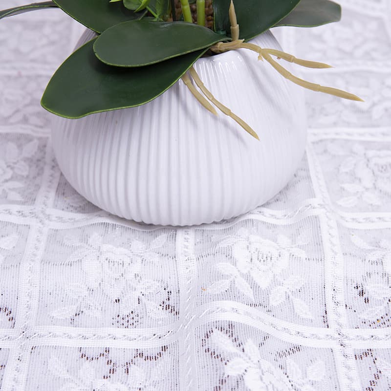 24 Flowers Butterfly Orchid with Ceramic Pot