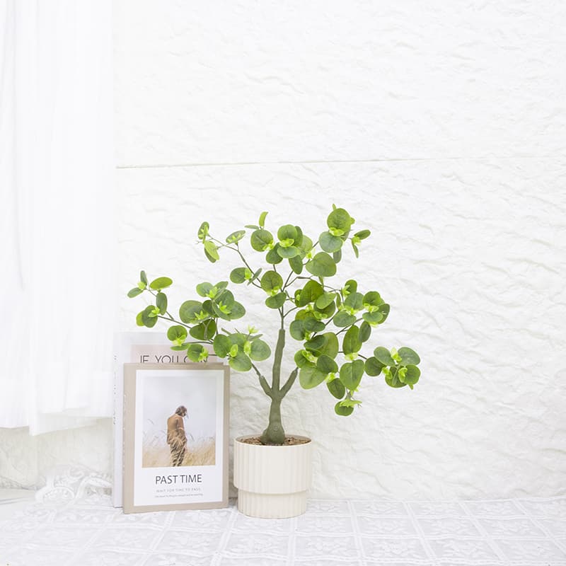 Eculyptus Plant in PP PT 46cm