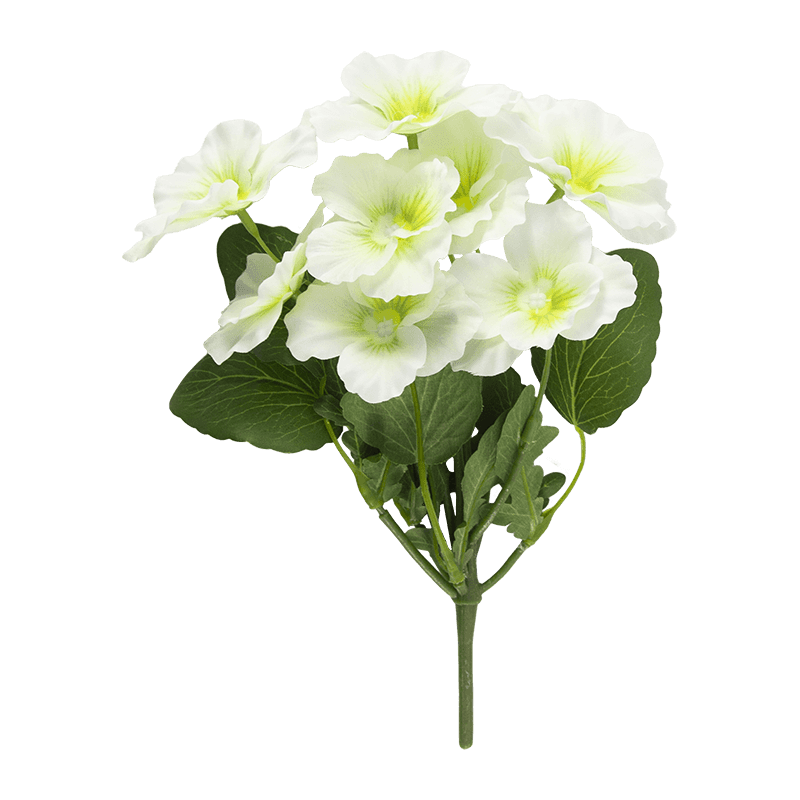 Pansy Flower with 8 Flowers