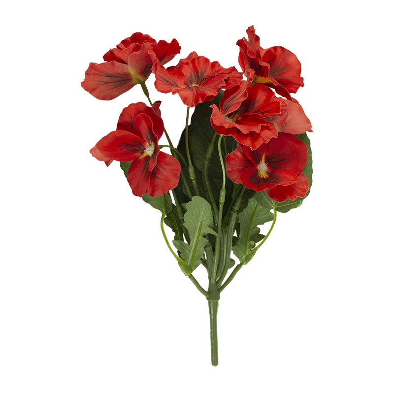 Pansy Flower with 8 Flowers