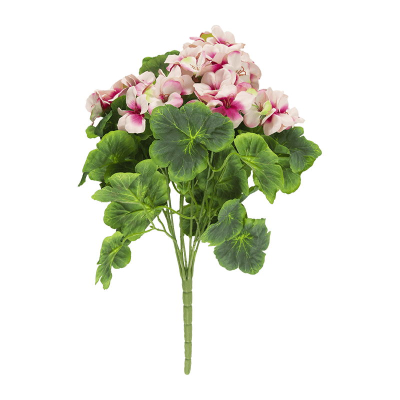 Begonia Flower Bush x 9 Stem