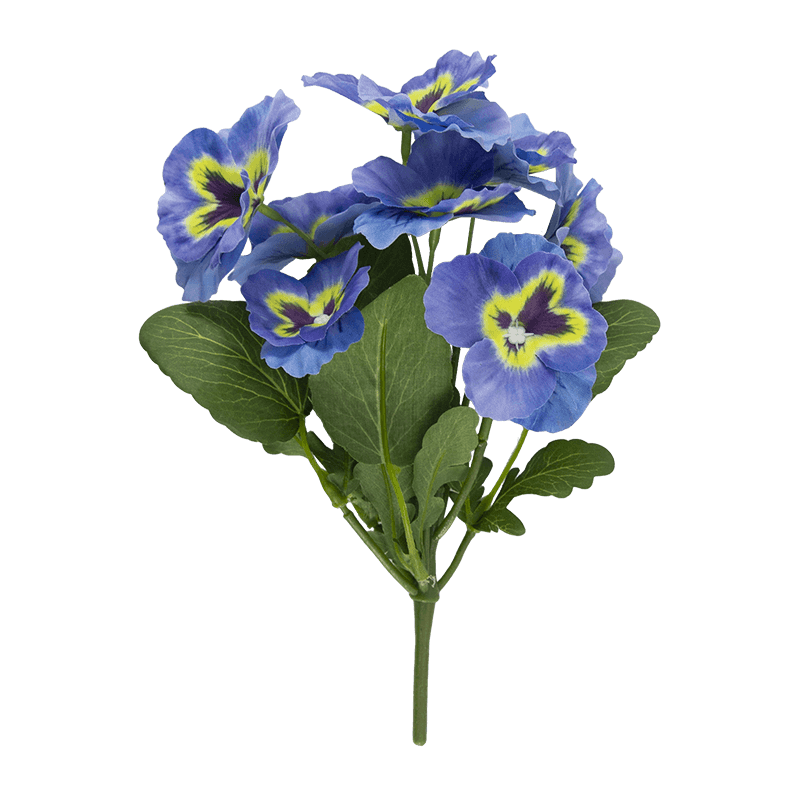Pansy Flower with 8 Flowers