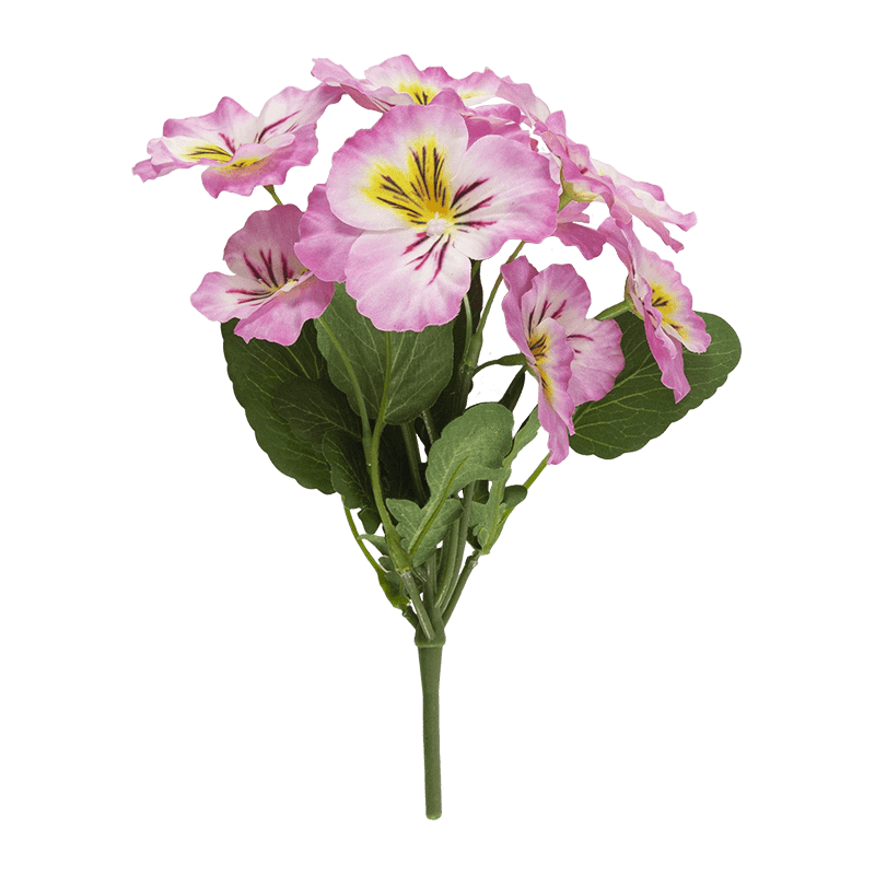 Pansy Flower with 8 Flowers