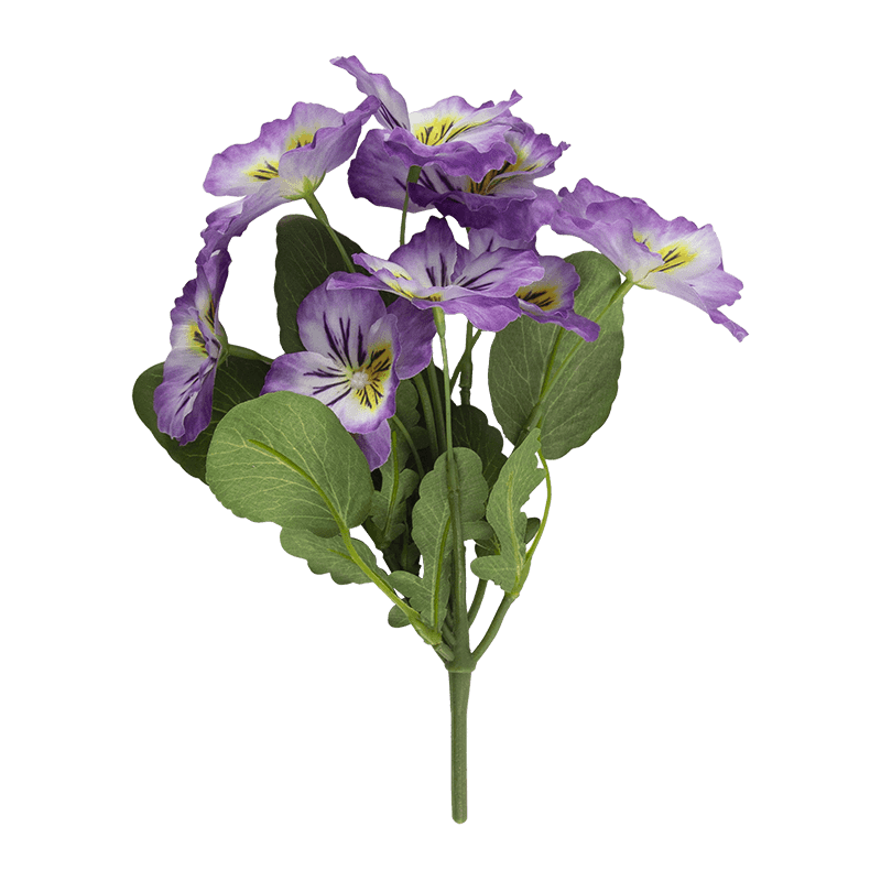 Pansy Flower with 8 Flowers