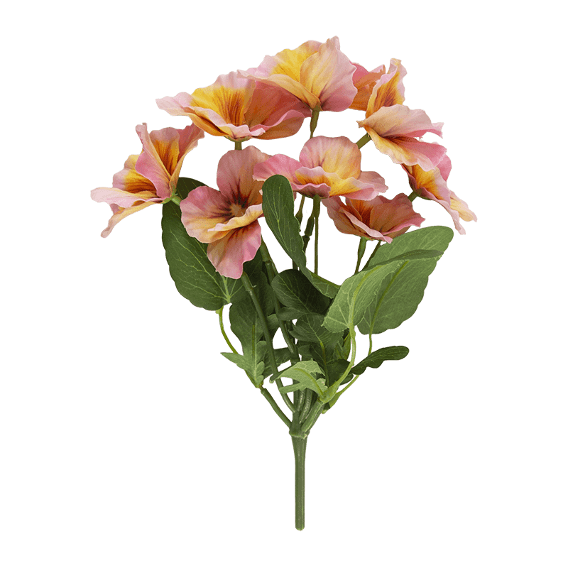 Pansy Flower with 8 Flowers