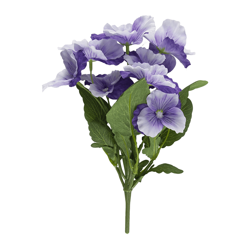 Pansy Flower with 8 Flowers
