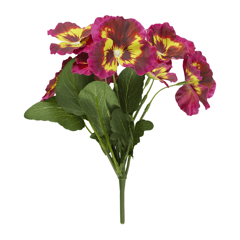 Pansy Flower with 8 Flowers