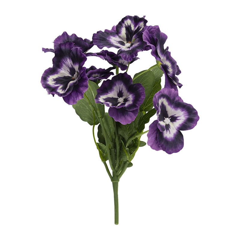 Pansy Flower with 8 Flowers