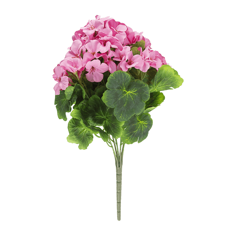 Begonia Flower Bush x 9 Stem