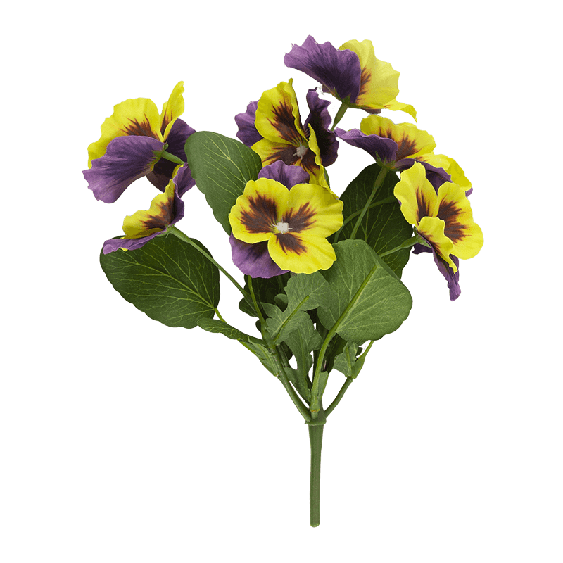 Pansy Flower with 8 Flowers