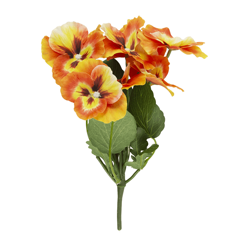 Pansy Flower with 8 Flowers
