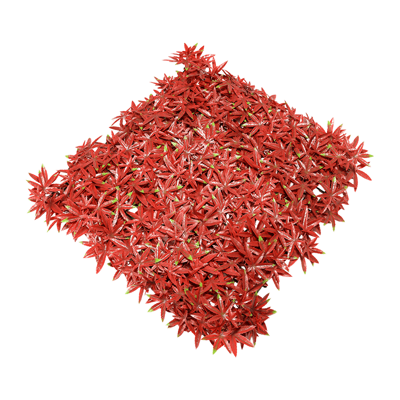 Rose Red Maple Artificial Grass Lawn