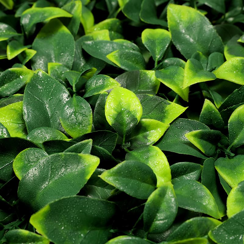Osmanthus Leaf Artificial Grass Lawn
