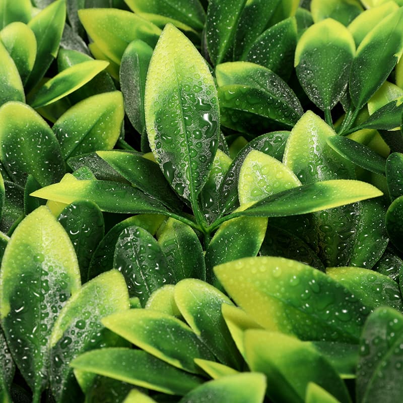 Fortune Leaf Artificial Grass Lawn