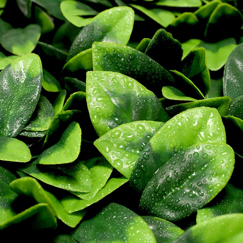 Gardenia Leaf Artificial Grass Lawn
