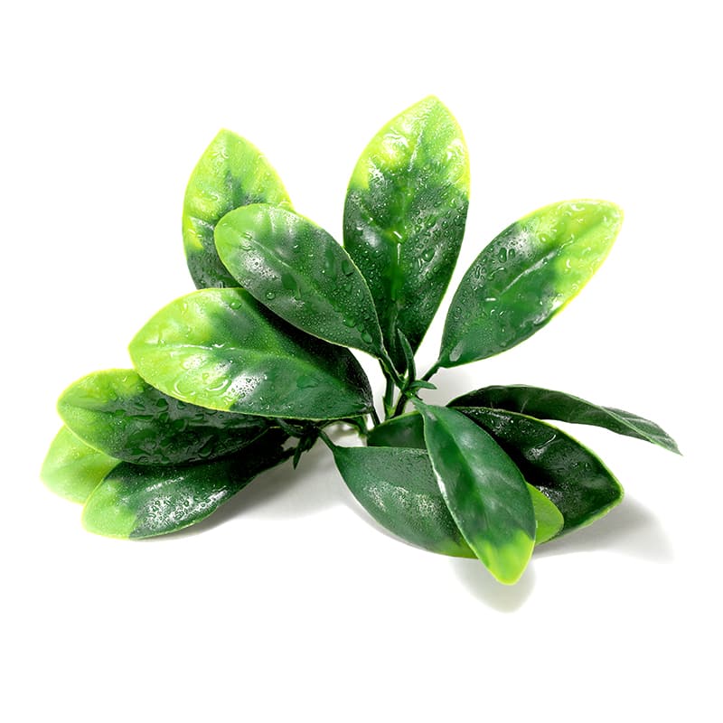 Gardenia Leaf Artificial Grass Lawn