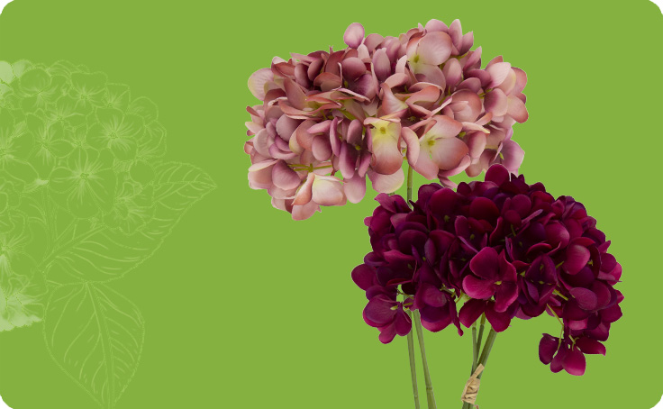 Zhejiang Hansy Craft Co.,Ltd.