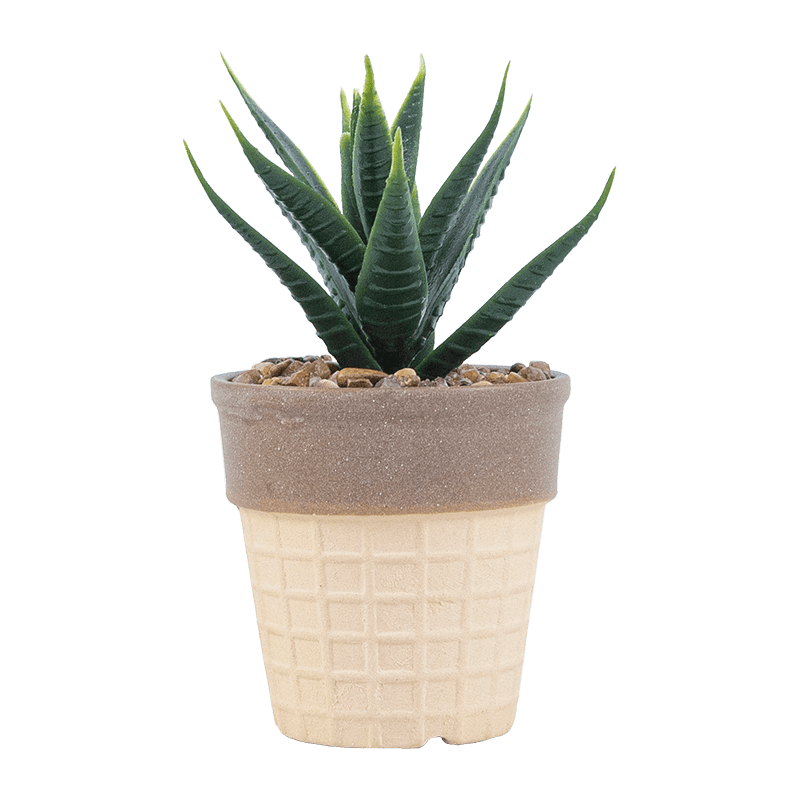Artificial Succulent in Ice Cream Pot