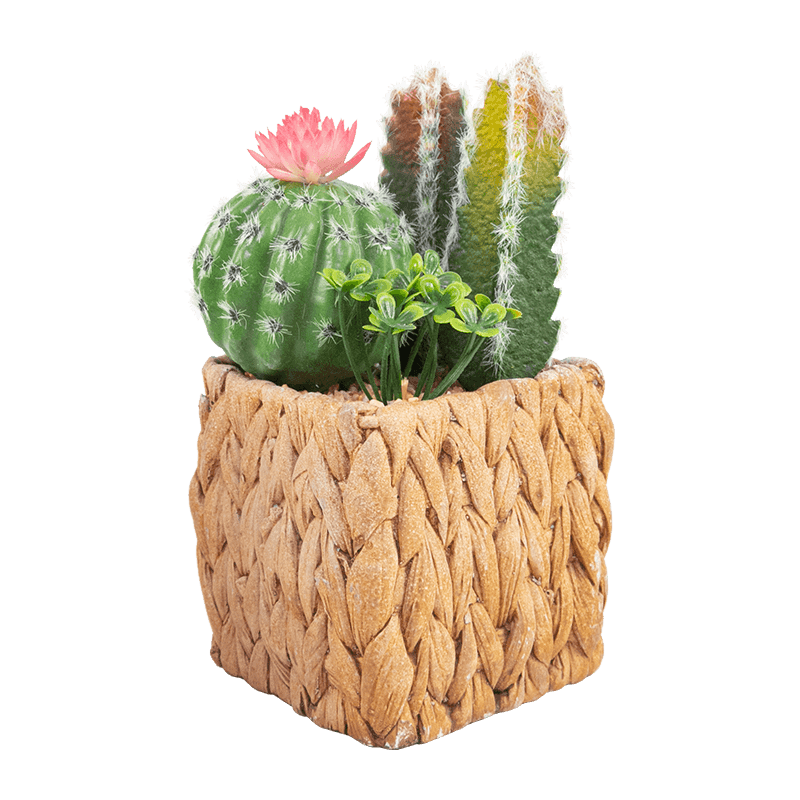 Artificial Cactus in Cement Pot 7.2 inch