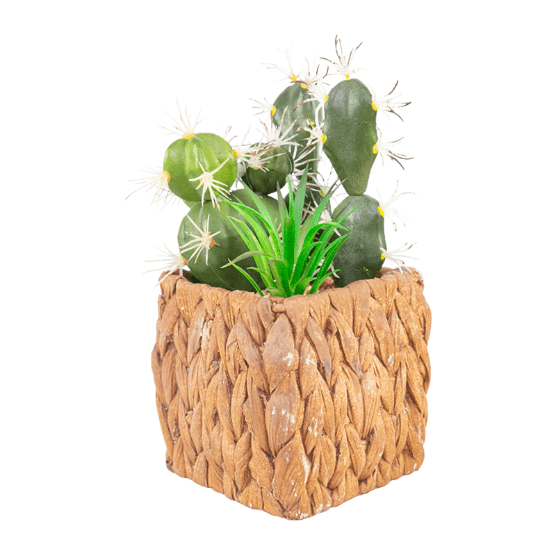 Artificial Cactus in Cement Pot 7.2 inch