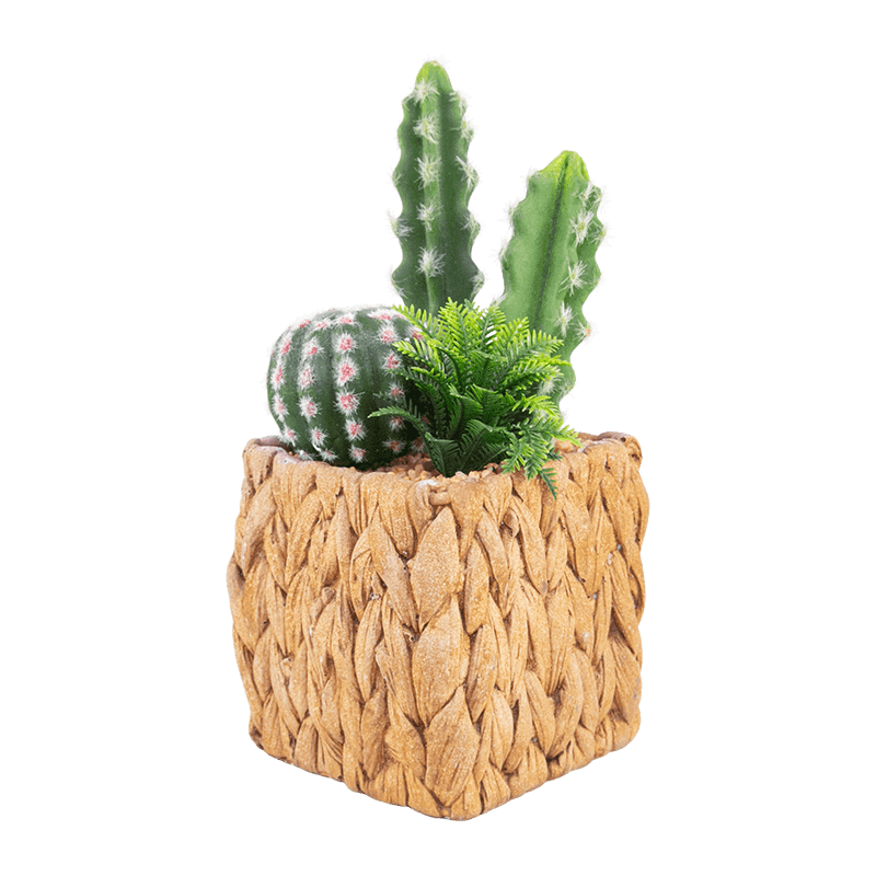 Artificial Cactus in Cement Pot 7.2 inch
