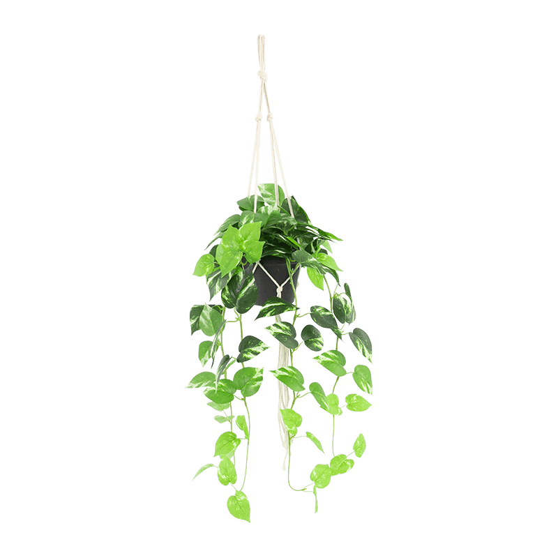Artificial Hanging Plant in PP Pot
